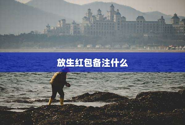 放生红包备注什么