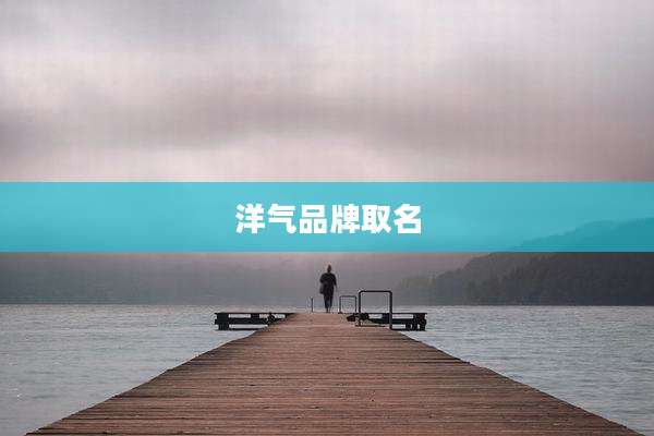 洋气品牌取名
