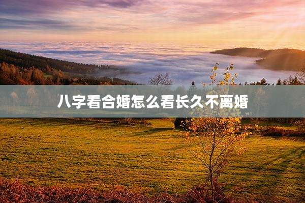 八字看合婚怎么看长久不离婚