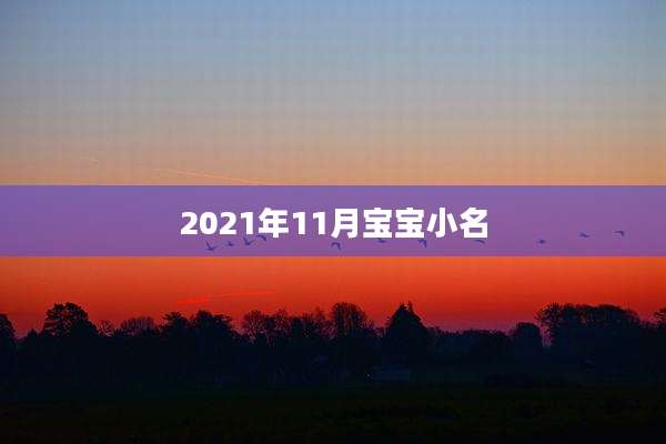 2021年11月宝宝小名