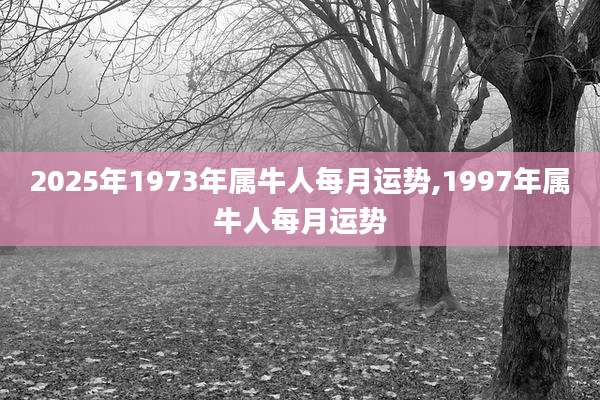 2025年1973年属牛人每月运势,1997年属牛人每月运势