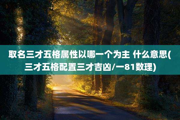 取名三才五格属性以哪一个为主 什么意思(三才五格配置三才吉凶/一81数理)
