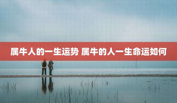 属牛人的一生运势 属牛的人一生命运如何