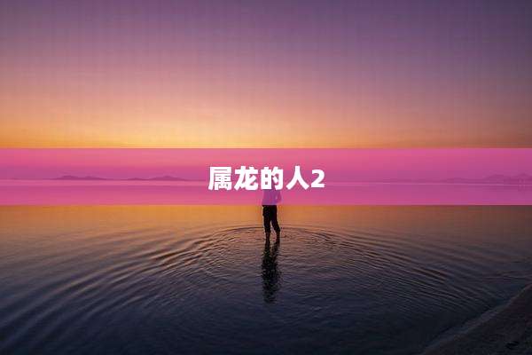 属龙的人2
