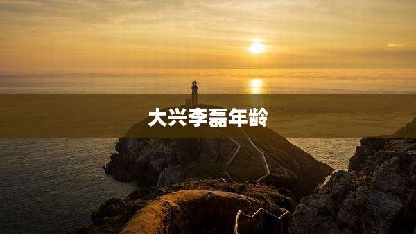 大兴李磊年龄