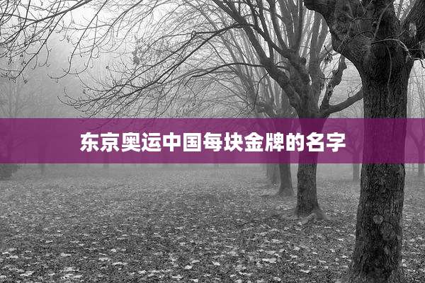 东京奥运中国每块金牌的名字