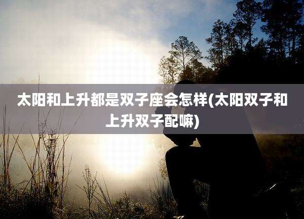 太阳和上升都是双子座会怎样(太阳双子和上升双子配嘛)