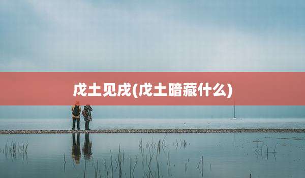 戊土见戌(戊土暗藏什么)