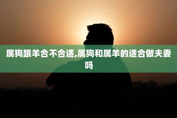 属狗跟羊合不合适,属狗和属羊的适合做夫妻吗