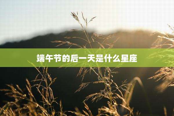 端午节的后一天是什么星座