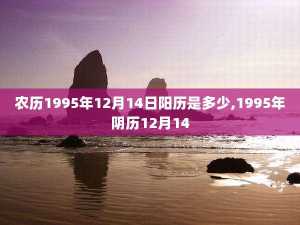 农历1995年12月14日阳历是多少,1995年阴历12月14