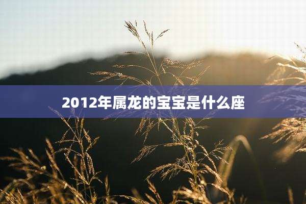 2012年属龙的宝宝是什么座