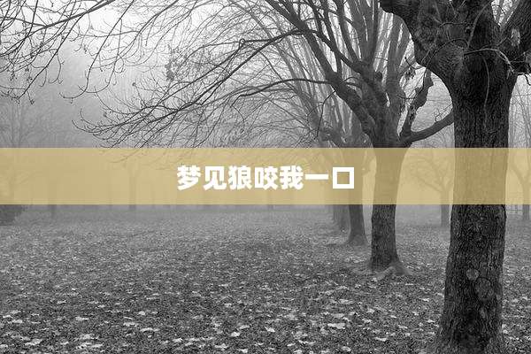梦见狼咬我一口