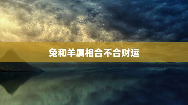 兔和羊属相合不合财运