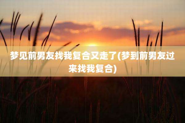 梦见前男友找我复合又走了(梦到前男友过来找我复合)