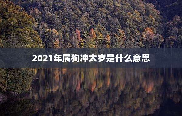2021年属狗冲太岁是什么意思