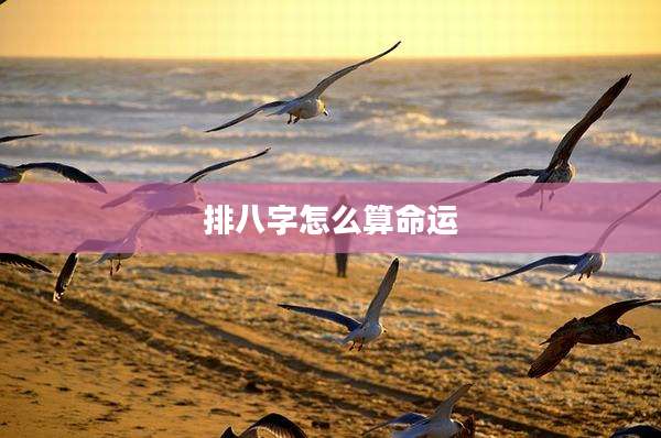 排八字怎么算命运