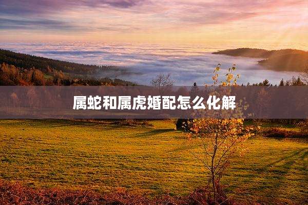 属蛇和属虎婚配怎么化解