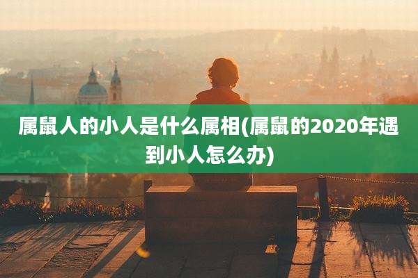 属鼠人的小人是什么属相(属鼠的2020年遇到小人怎么办)