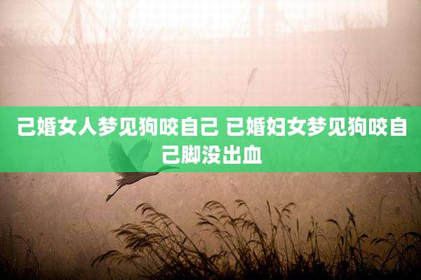 己婚女人梦见狗咬自己 已婚妇女梦见狗咬自己脚没出血