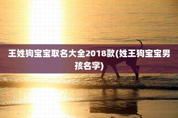 王姓狗宝宝取名大全2018款(姓王狗宝宝男孩名字)