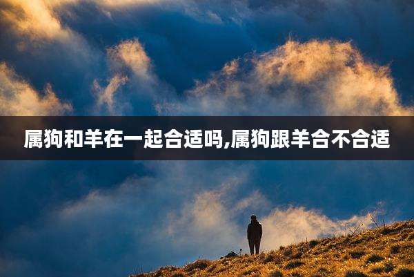 属狗和羊在一起合适吗,属狗跟羊合不合适