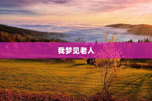 我梦见老人