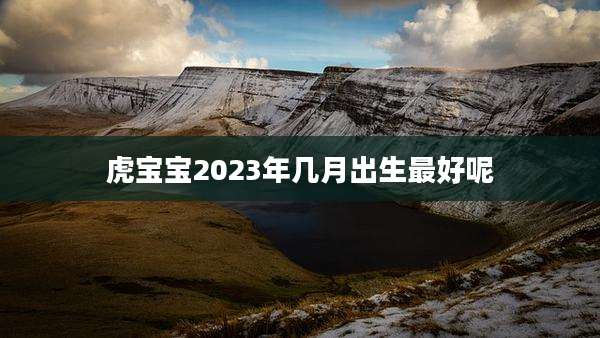 虎宝宝2023年几月出生最好呢