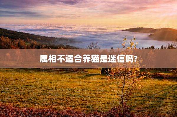 属相不适合养猫是迷信吗?
