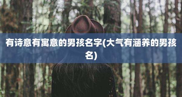 有诗意有寓意的男孩名字(大气有涵养的男孩名)