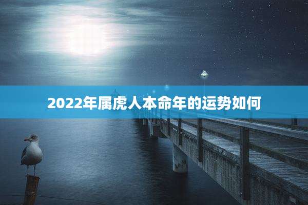 2022年属虎人本命年的运势如何