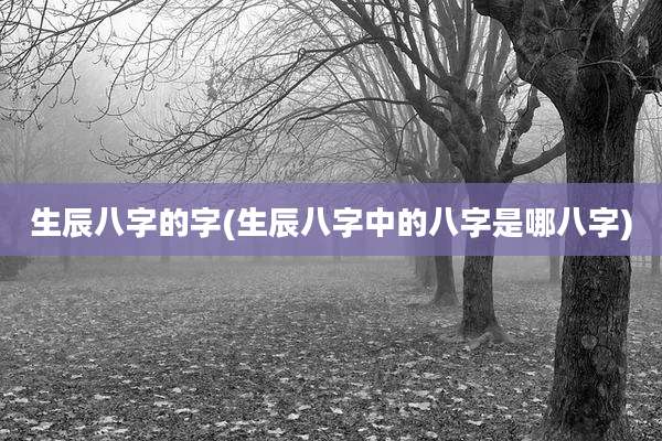 生辰八字的字(生辰八字中的八字是哪八字)