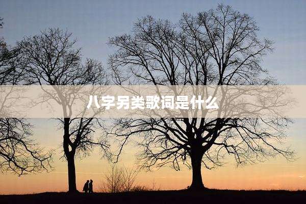 八字另类歌词是什么