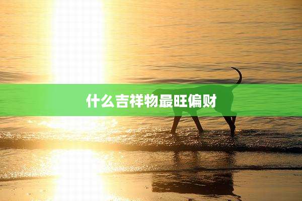 什么吉祥物最旺偏财
