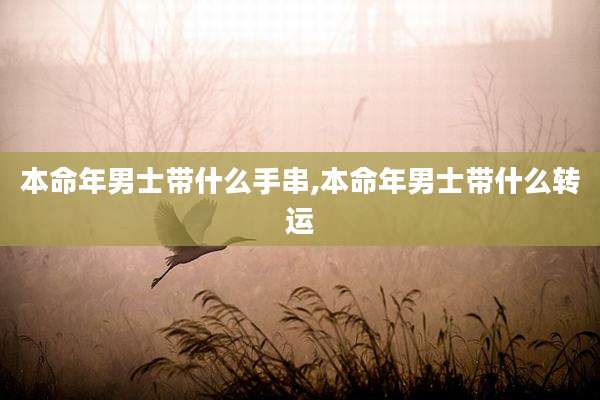 本命年男士带什么手串,本命年男士带什么转运
