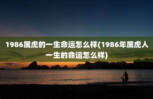 1986属虎的一生命运怎么样(1986年属虎人一生的命运怎么样)