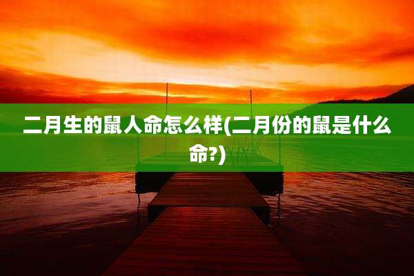 二月生的鼠人命怎么样(二月份的鼠是什么命?)