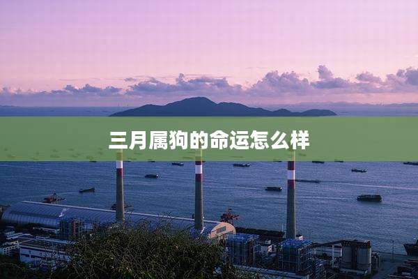 三月属狗的命运怎么样