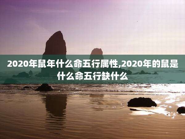 2020年鼠年什么命五行属性,2020年的鼠是什么命五行缺什么
