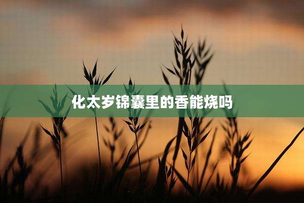 化太岁锦囊里的香能烧吗