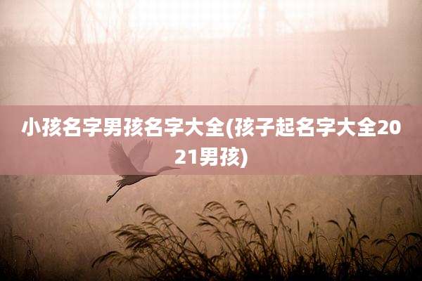 小孩名字男孩名字大全(孩子起名字大全2021男孩)