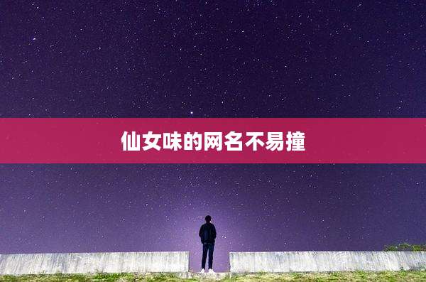 仙女味的网名不易撞