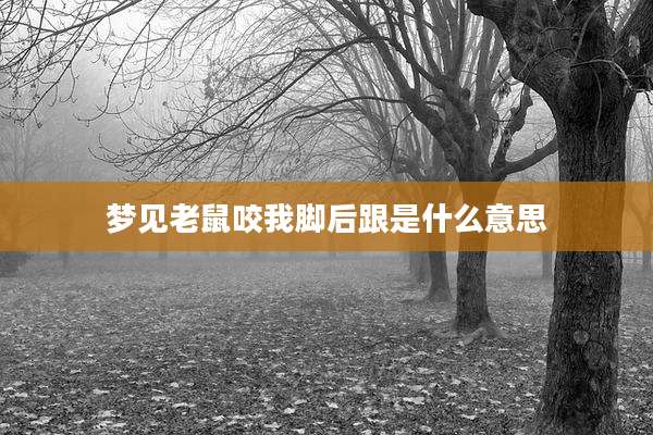 梦见老鼠咬我脚后跟是什么意思