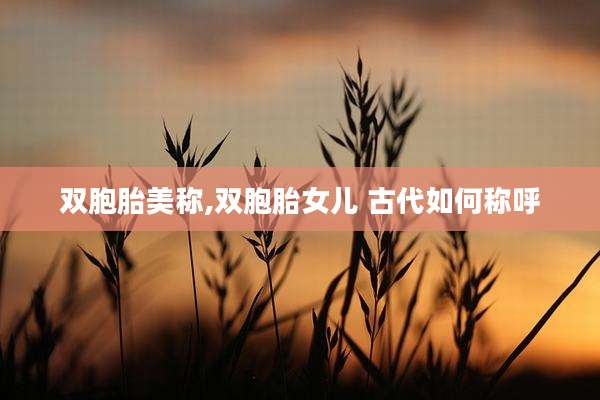 双胞胎美称,双胞胎女儿 古代如何称呼