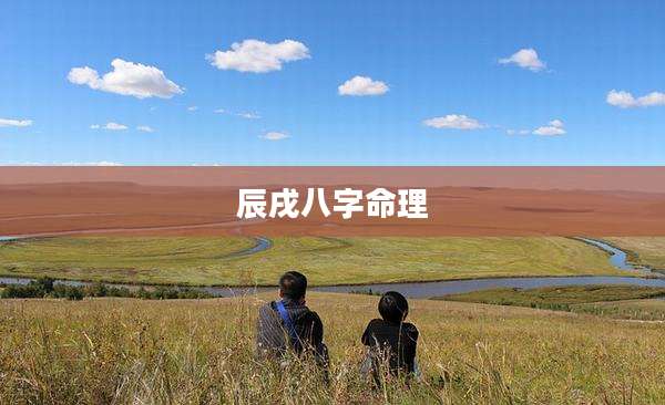 辰戌八字命理
