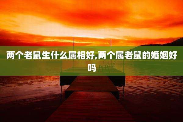 两个老鼠生什么属相好,两个属老鼠的婚姻好吗