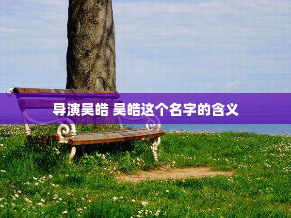 导演吴皓 吴皓这个名字的含义