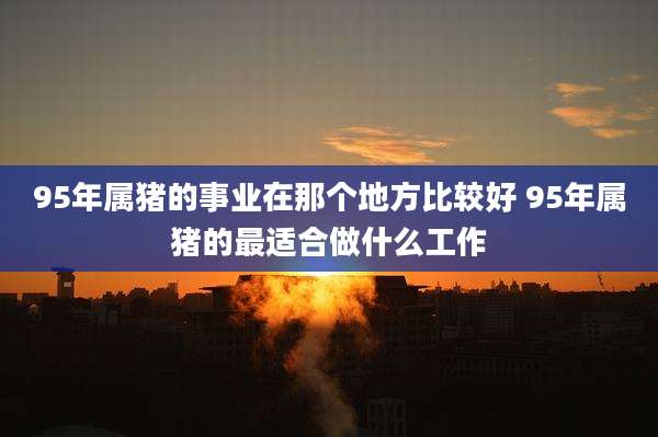 95年属猪的事业在那个地方比较好 95年属猪的最适合做什么工作