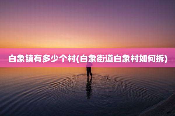 白象镇有多少个村(白象街道白象村如何拆)