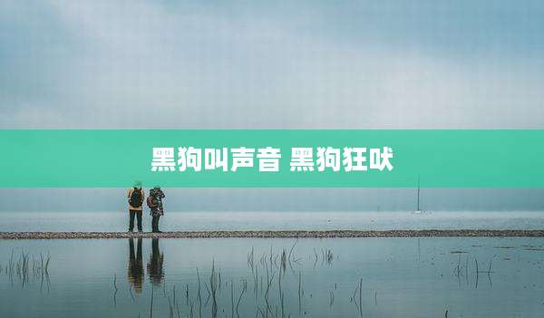 黑狗叫声音 黑狗狂吠